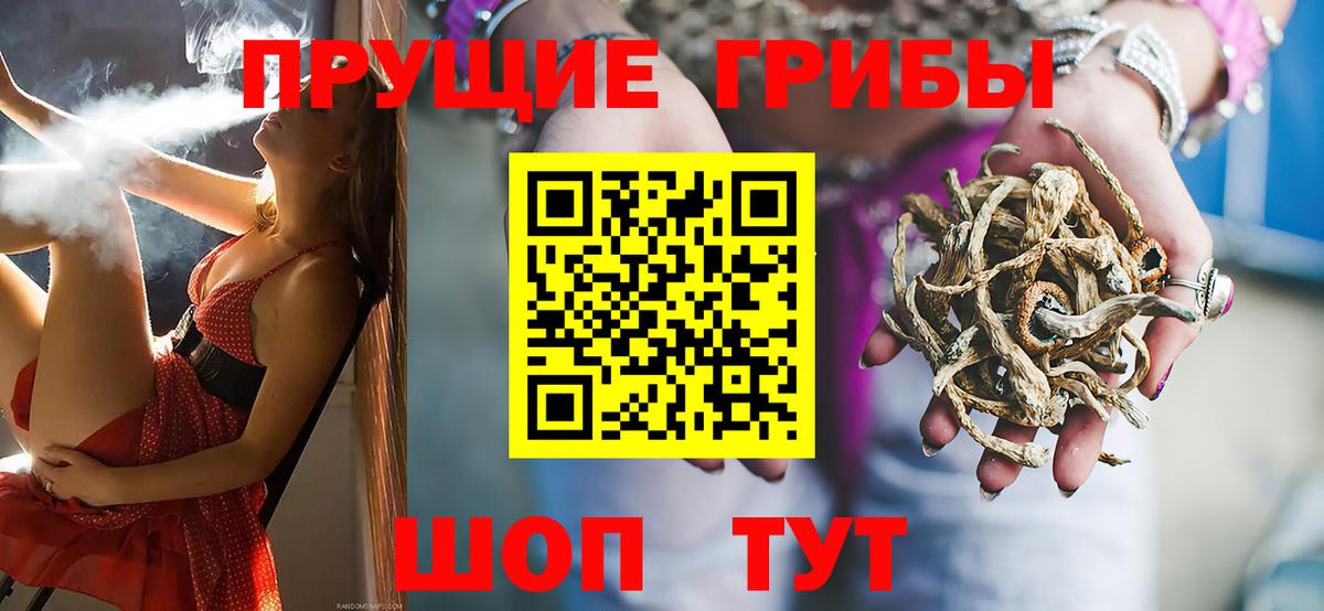 Галлюциногенные грибы GOLDEN TEACHER Чехов