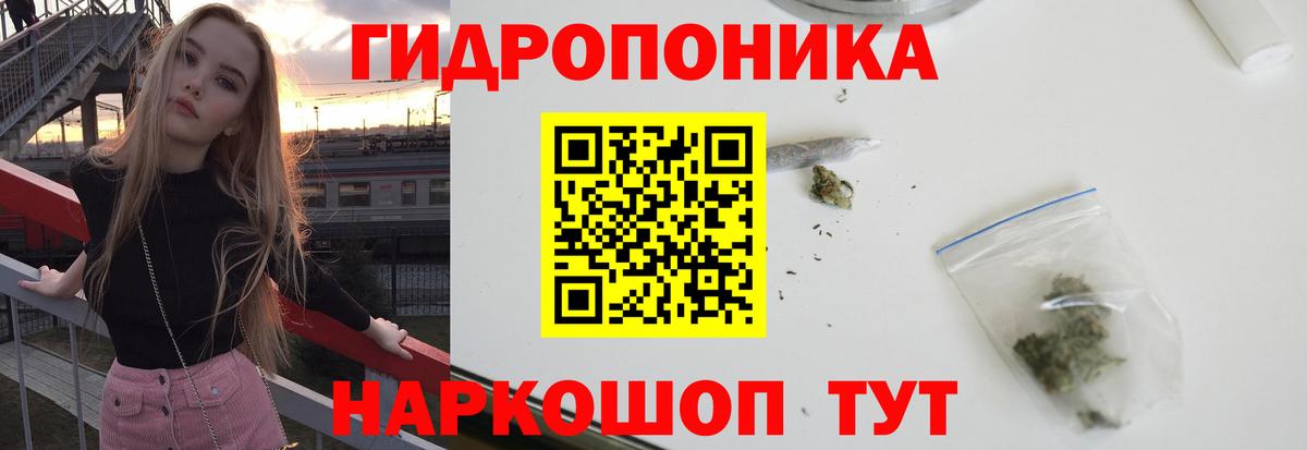 Конопля гибрид Чехов